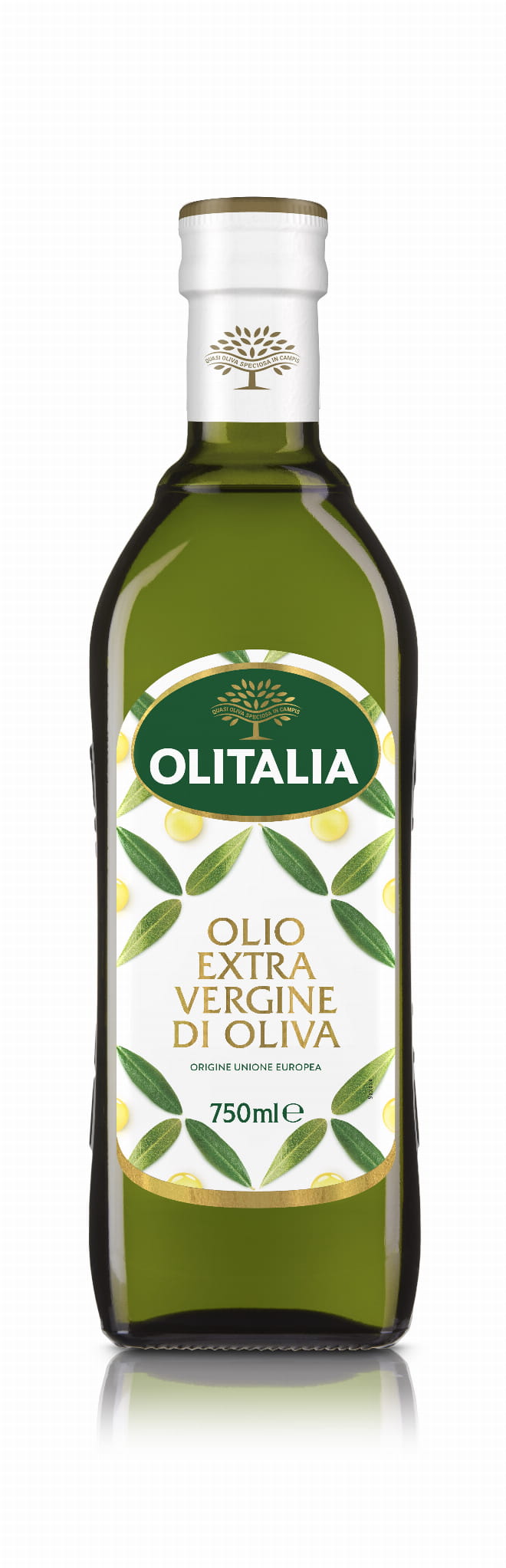 bb03a8d86fbac511a0a0a5f0de65aa54