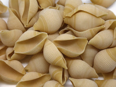 Duże suche muszle makaronowe conchiglioni rigati