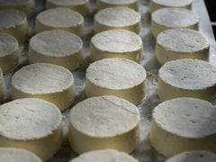 Ser ricotta - co to jest, jak smakuje i do czego go używać