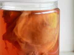 Kultura SCOBY (meduzyna) w słoiku z herbatą - fermentacja kombuchy